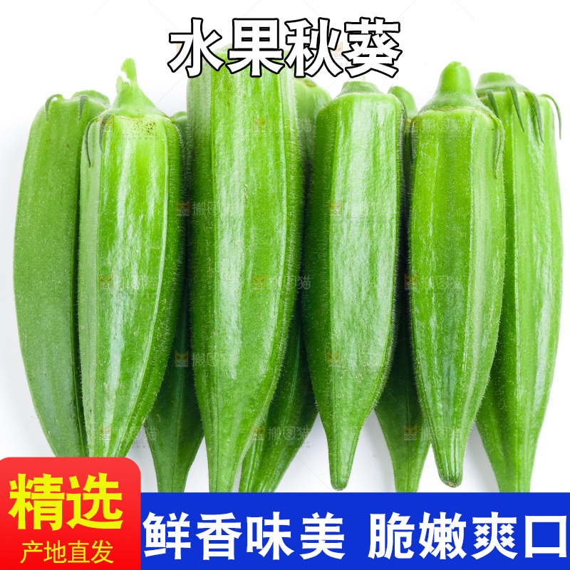白底上的新鲜秋葵