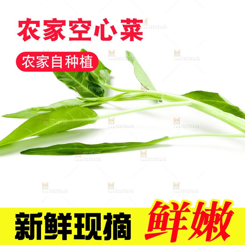 白底上放着新鲜空心菜