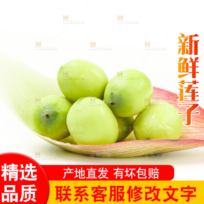 白底上放着新鲜莲子