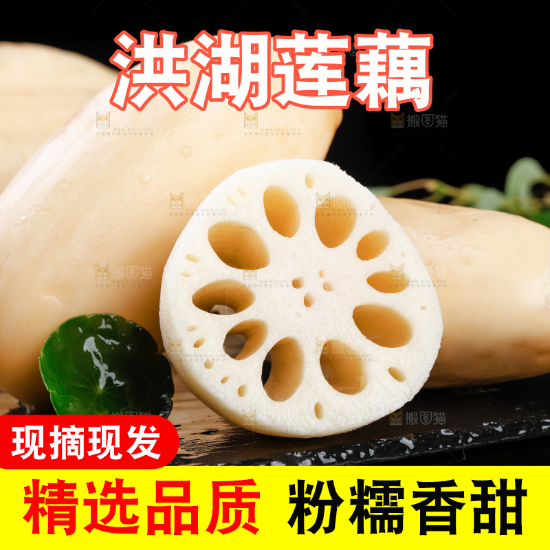 黑底上的莲藕