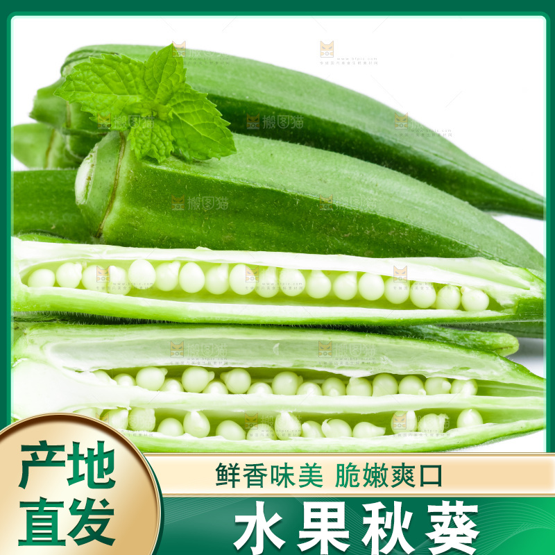 白底上的新鲜秋葵