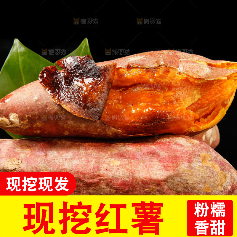 黑底上的烟薯25号