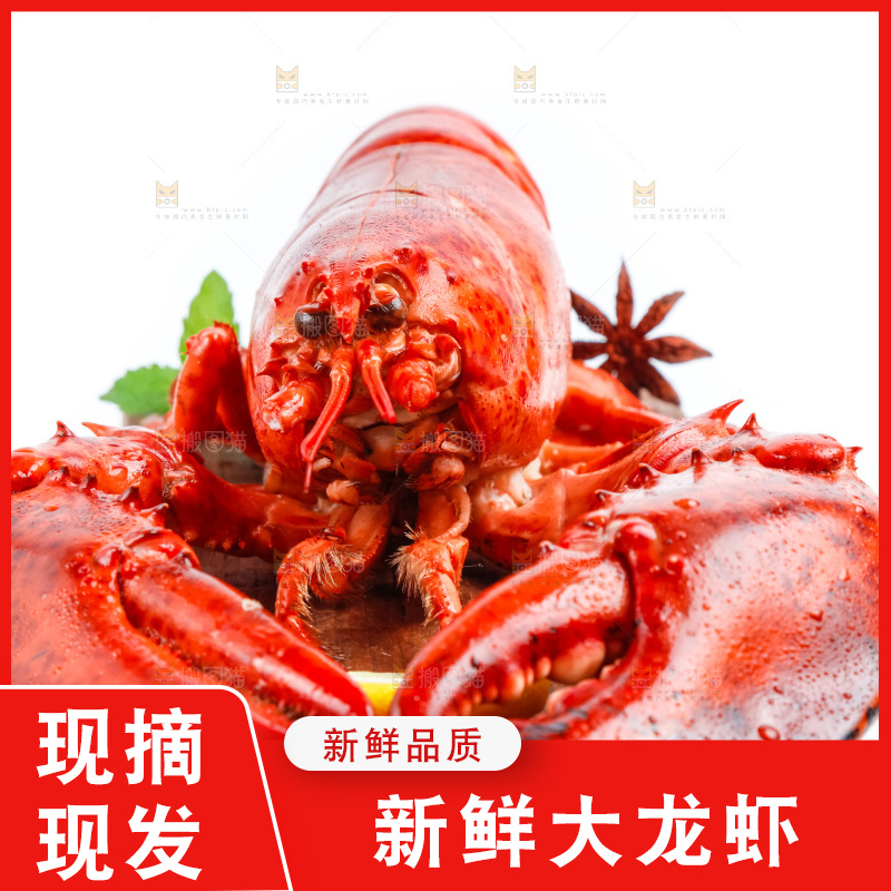木底上的大龙虾