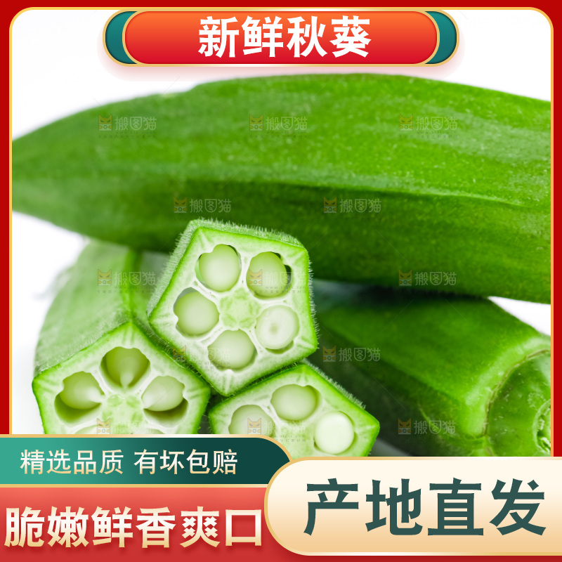 白底上的新鲜秋葵