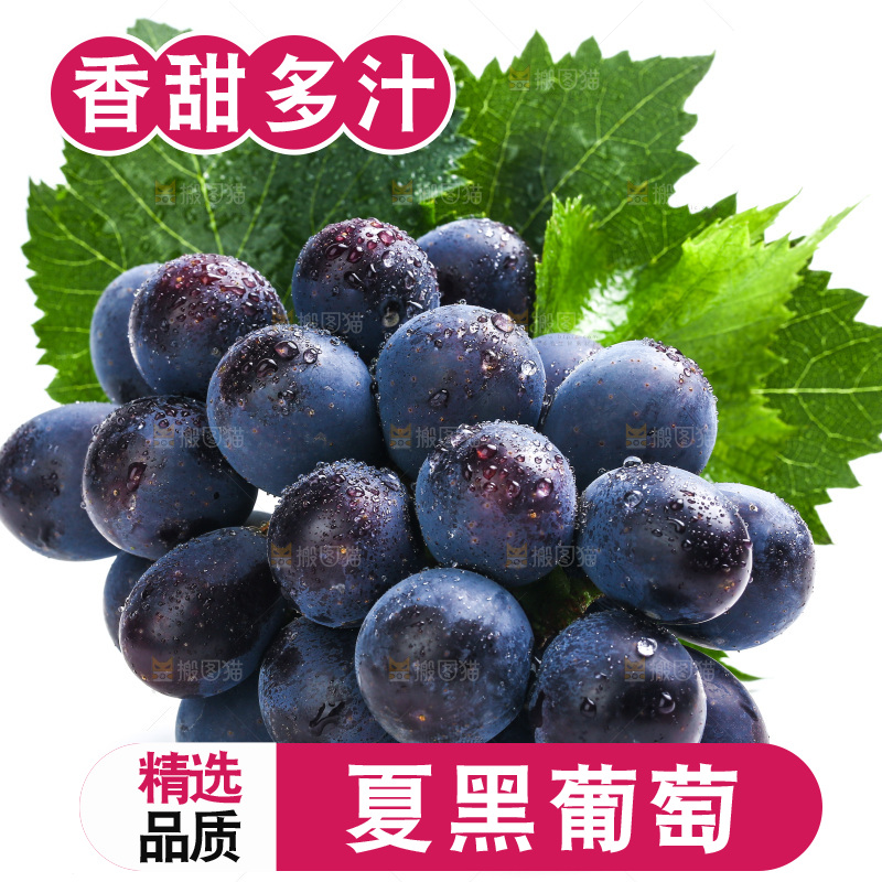 白底上的夏黑