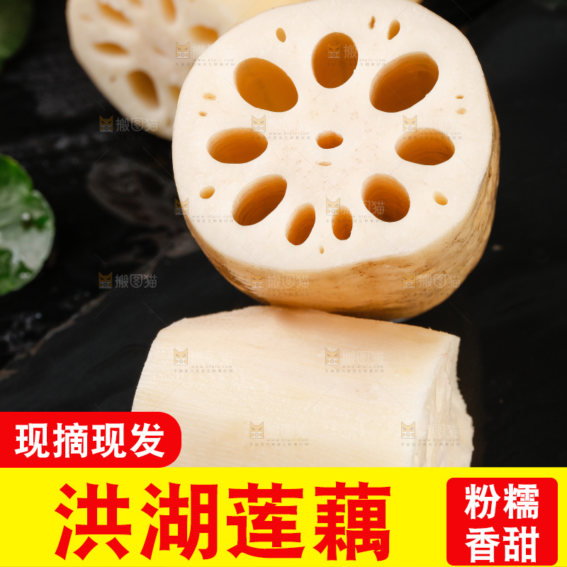黑底上的粉莲藕