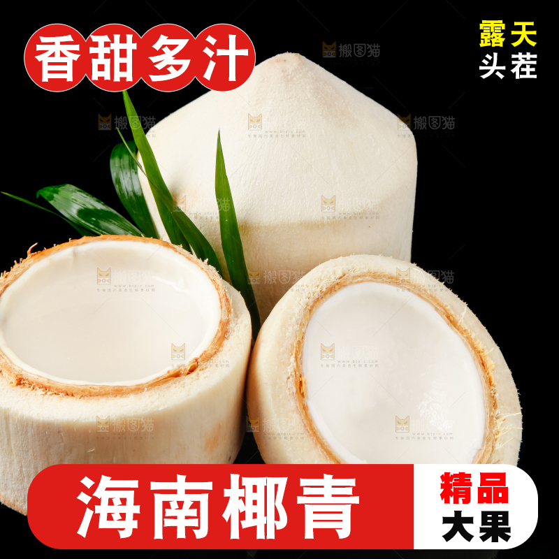 黑底上的青椰子