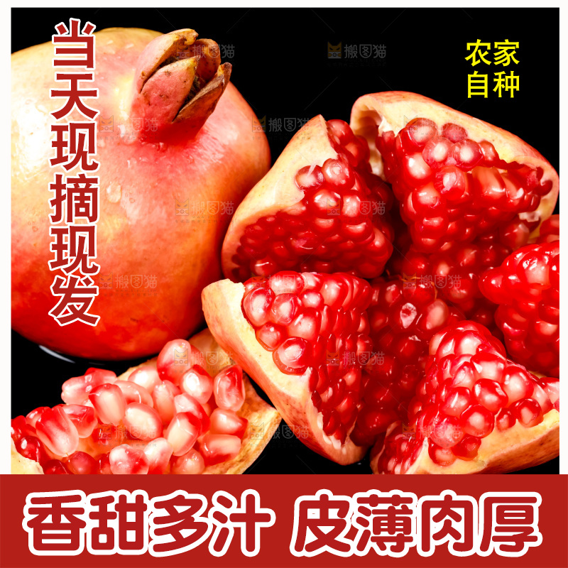 黑底上放着突尼斯软籽石榴