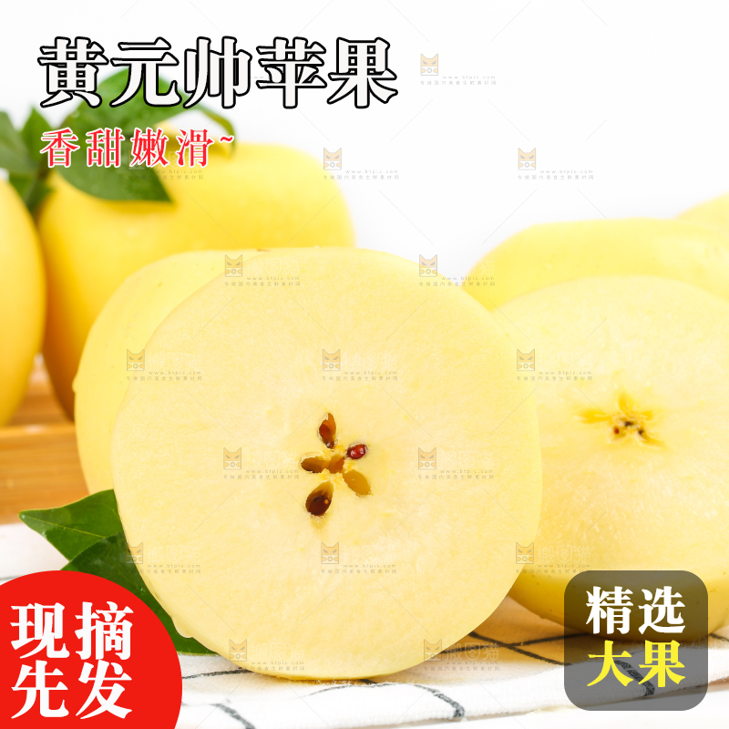 白格子底上的黄金帅