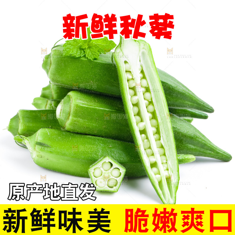 白底上的新鲜秋葵