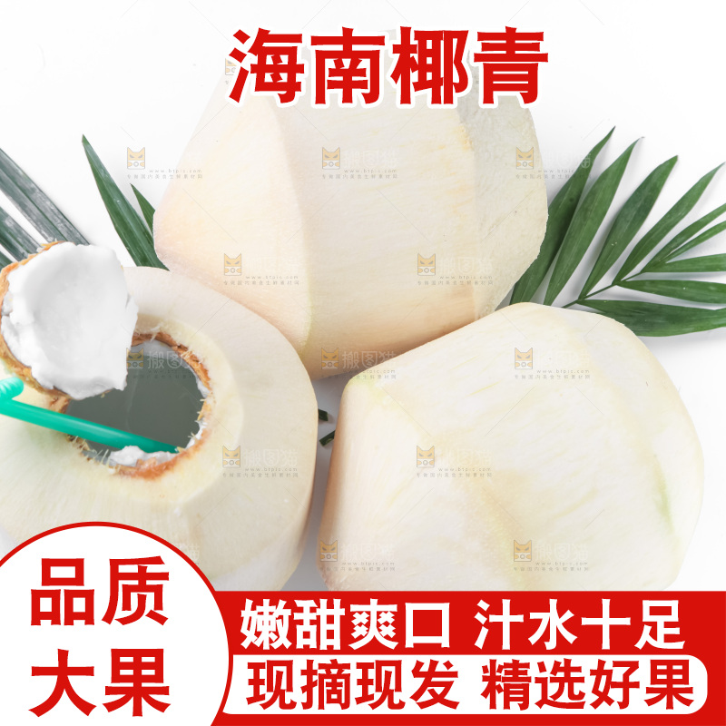 白底上青椰子