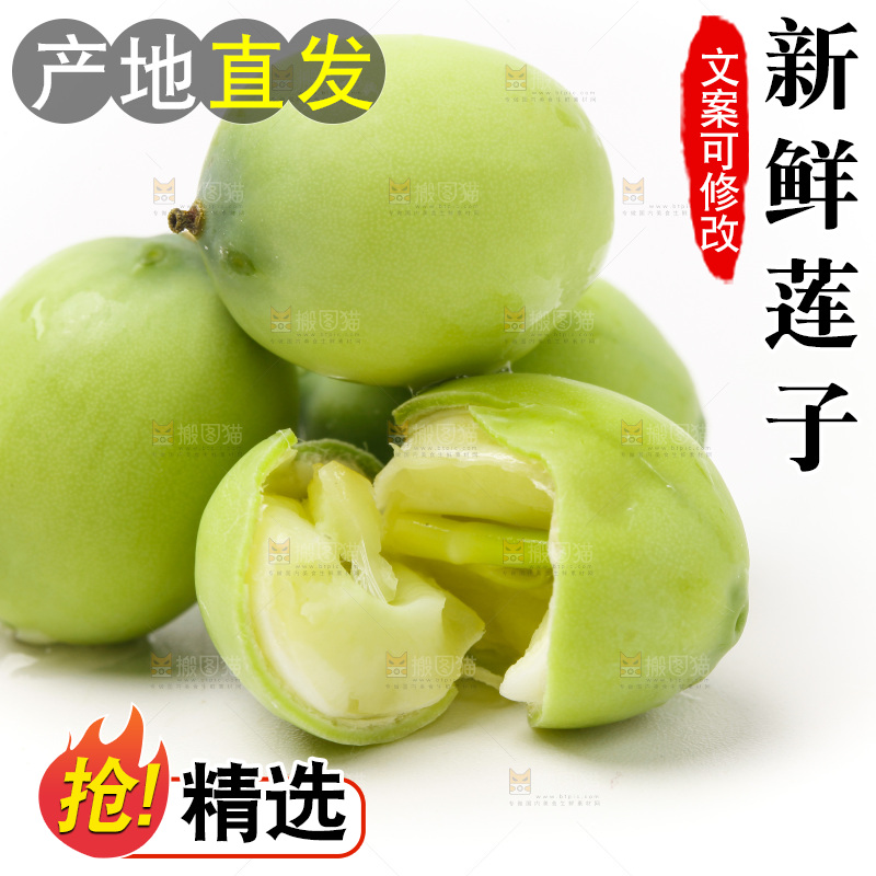 白底上的新鲜莲子