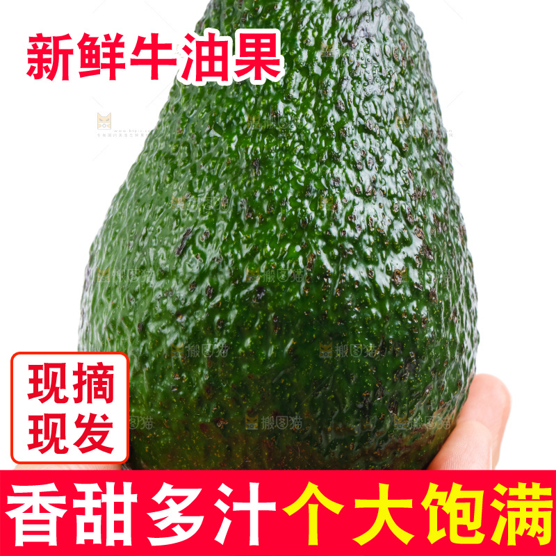 手拿墨西哥牛油果