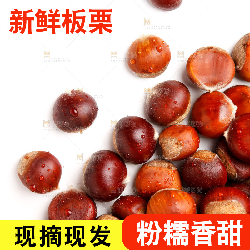 白底上的新鲜栗子
