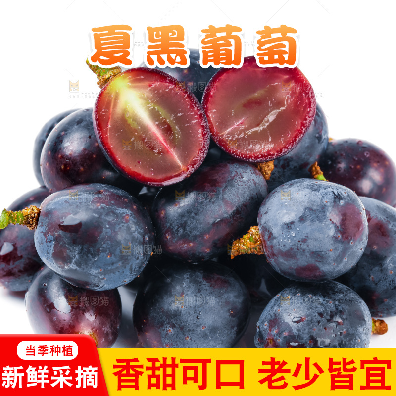 云南夏黑葡萄放在白底上