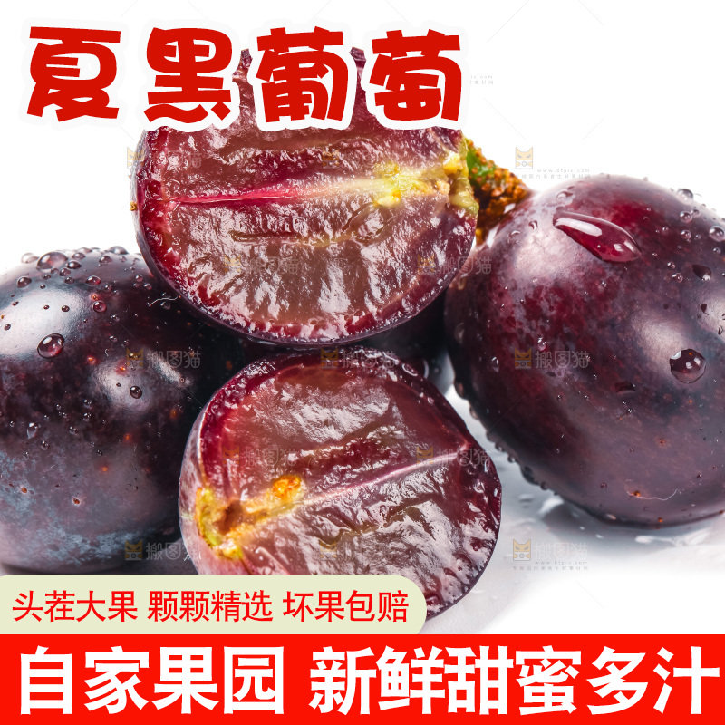 夏黑葡萄放在白底上