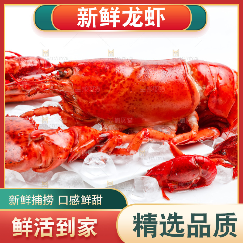 白底上放着大龙虾