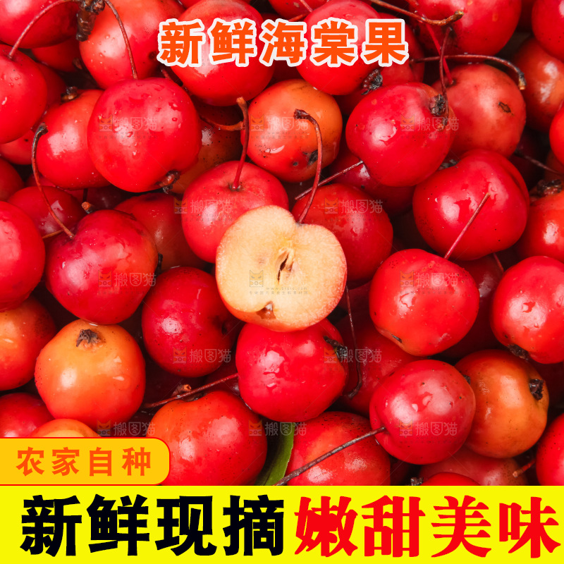 白底上放着东北海棠果