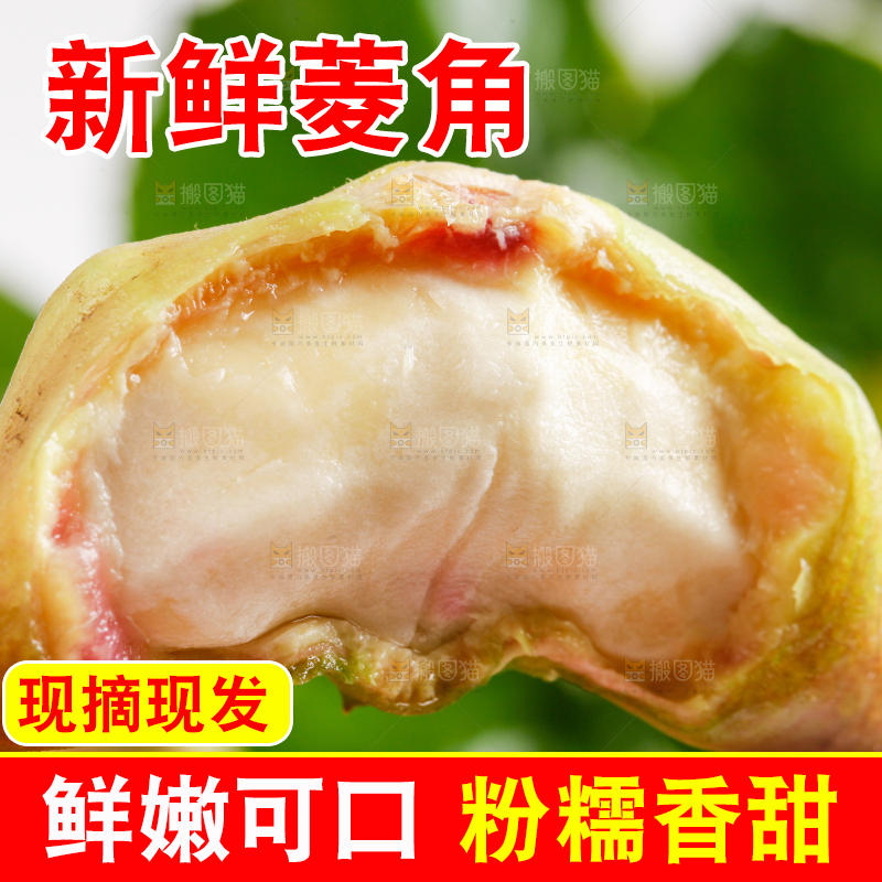 手里拿着新鲜菱角