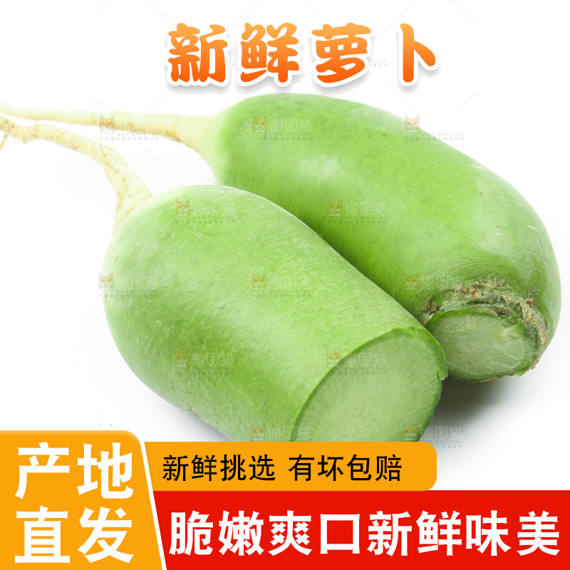 白底上放着青萝卜