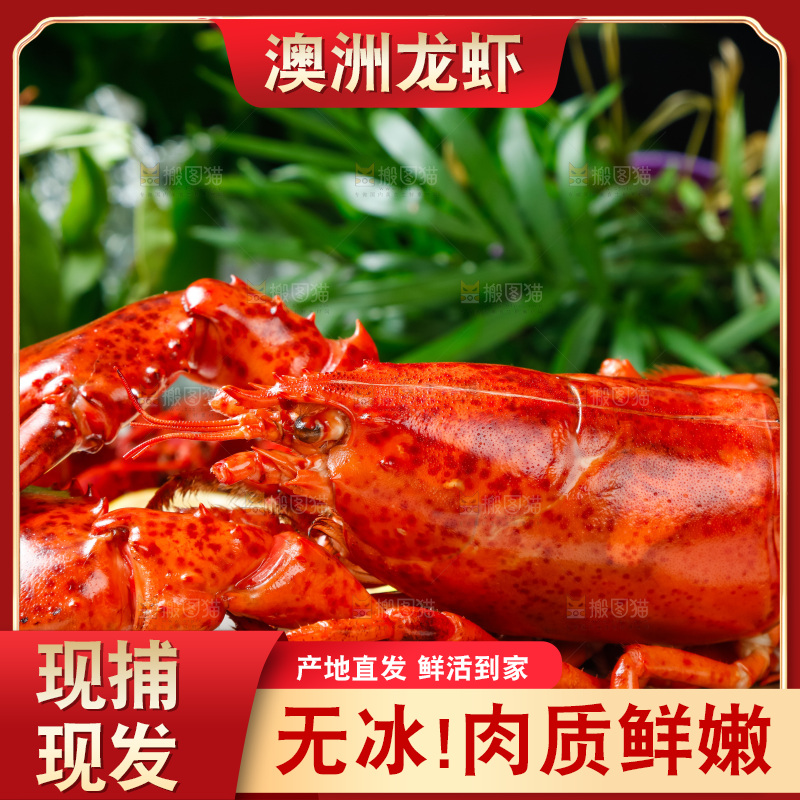 格子布上放着一盘大龙虾