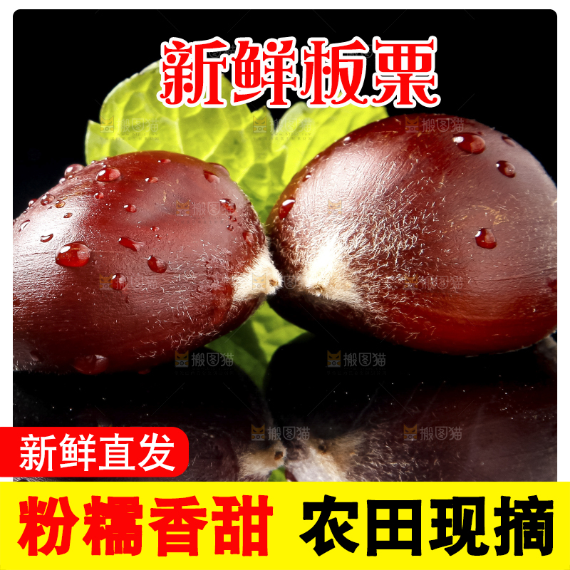 黑底上放着迁西板栗