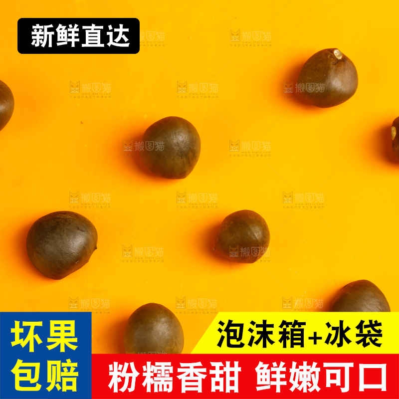 黄底上的迁西板栗