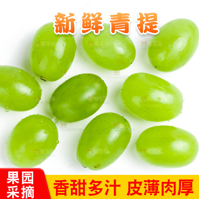 白底上放着维多利亚青提
