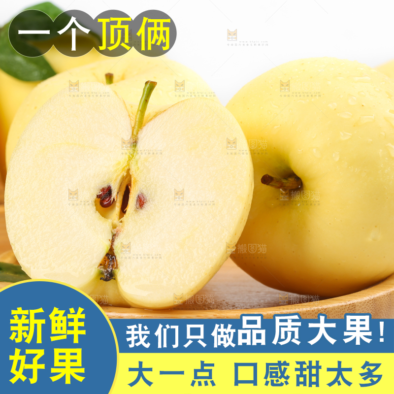 白格子底上的黄金帅