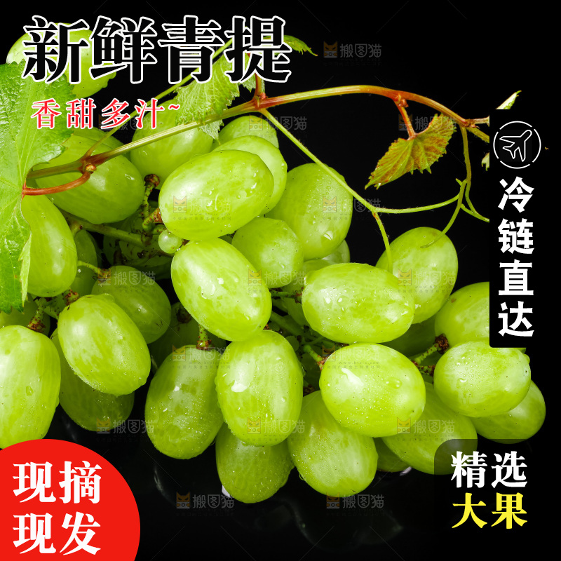 黑底上放着青提子