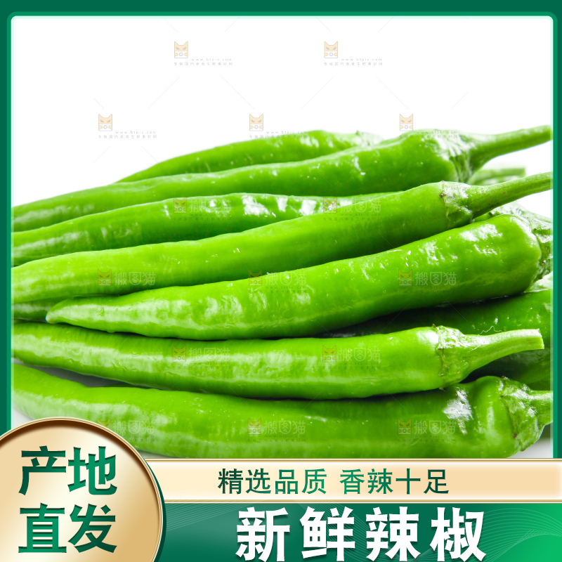 白底上摆放着新鲜杭椒