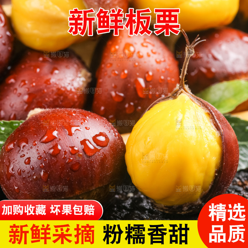 深底上的迁西板栗