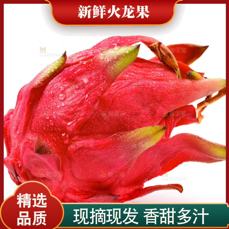 白底上的火龙果