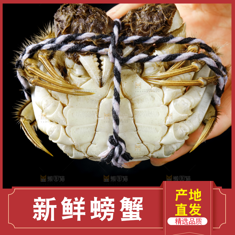 手里拿着鲜活螃蟹