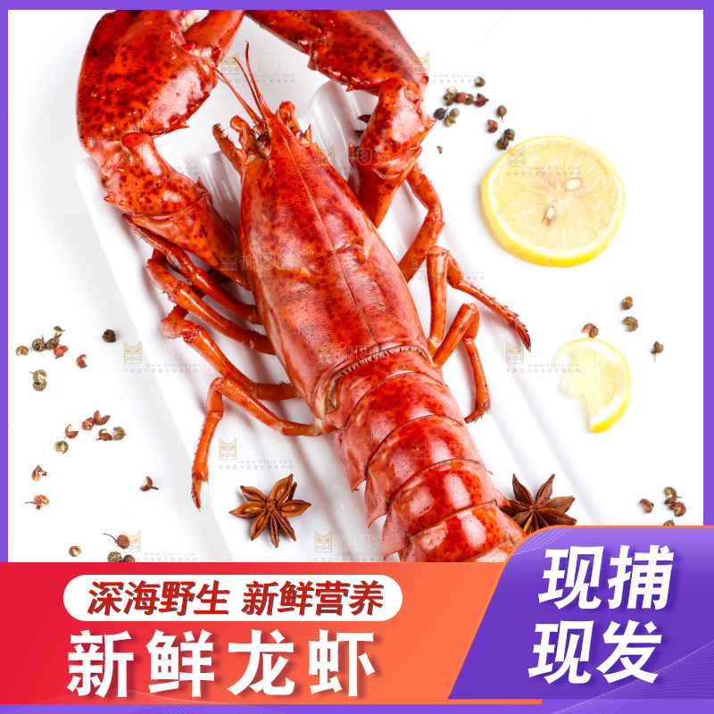 浅底上放着波士顿大龙虾