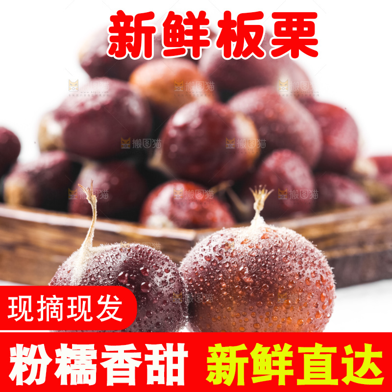 浅底上的板栗