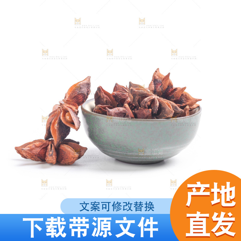 广西八角放在白底上