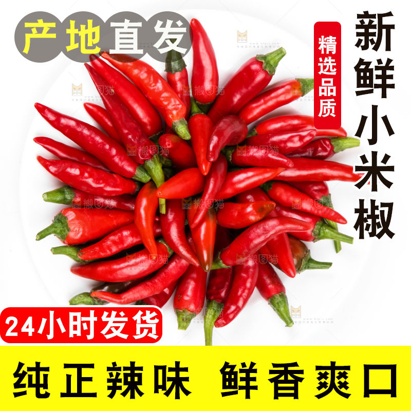 白底上摆放着广西小米椒