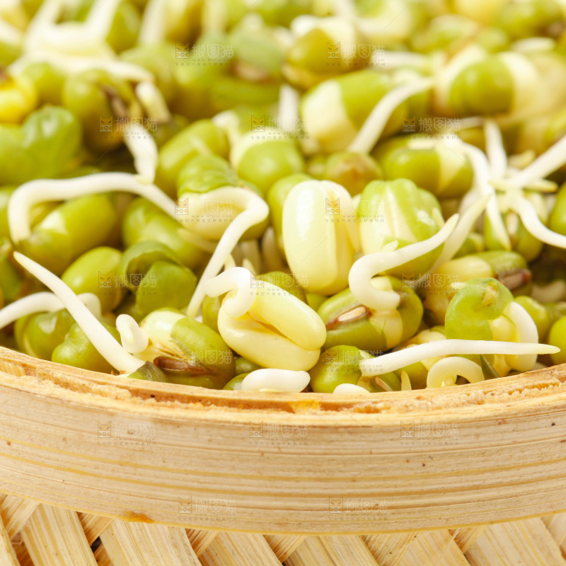 白底上的绿豆芽