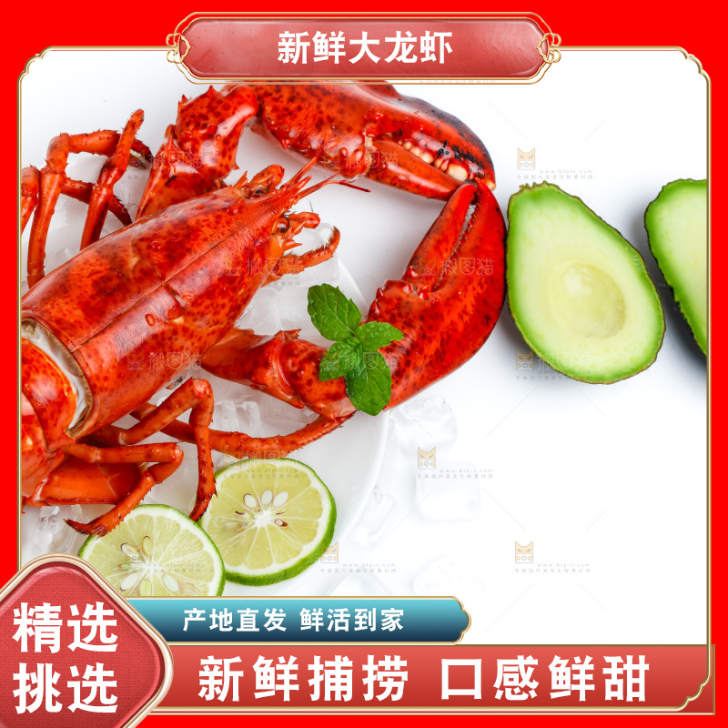 波士顿大龙虾放在浅底上