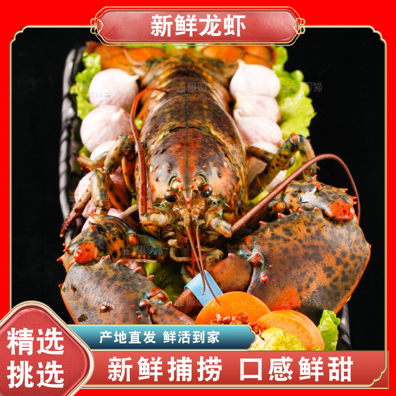 黑底上放着一盘波士顿大龙虾