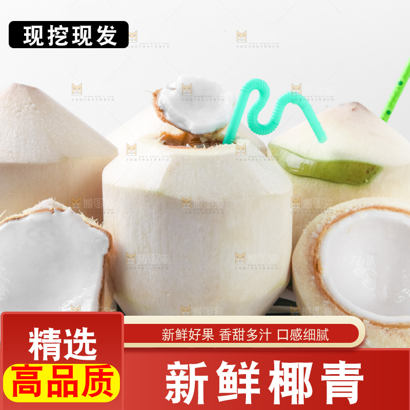 白底上青椰子