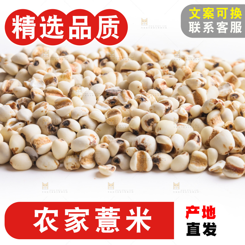 白底上的薏米