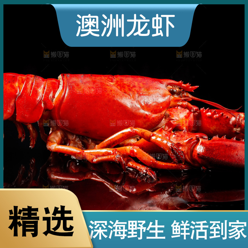 黑底上放着波士顿龙虾