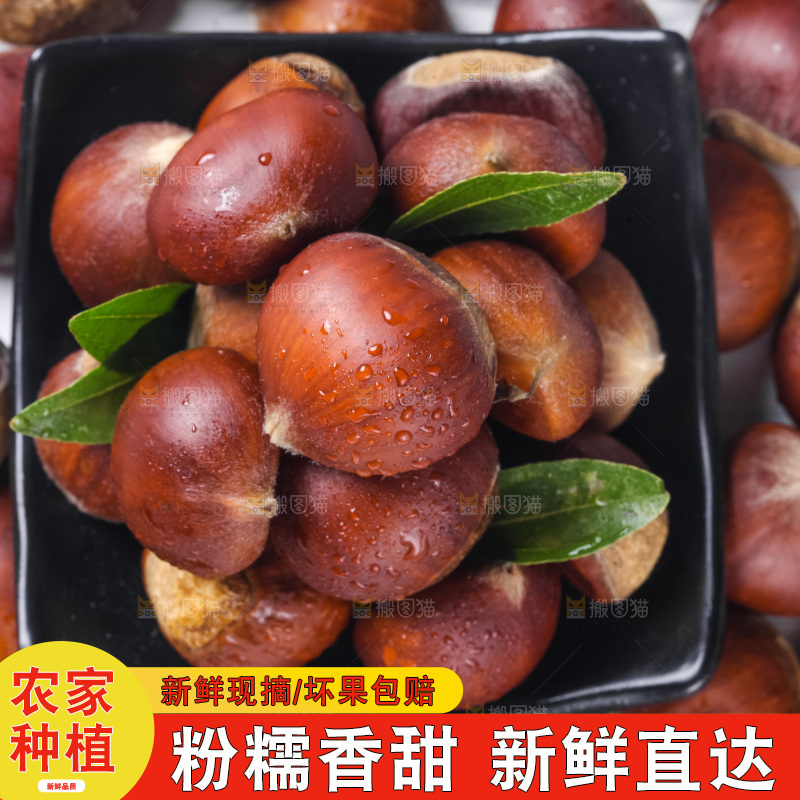 盘子里的生板栗