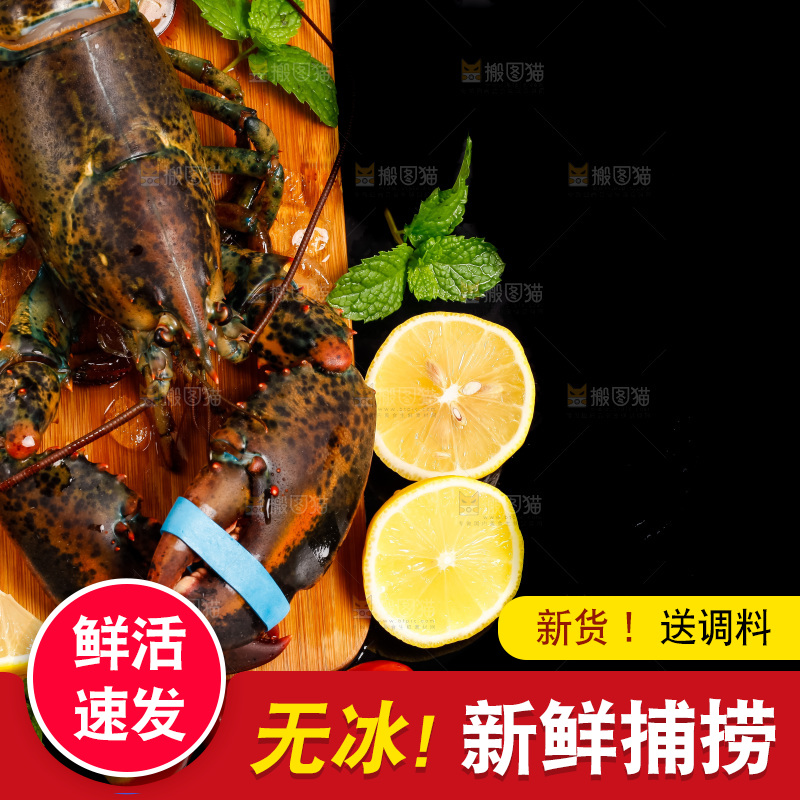 黑底上放着波士顿龙虾