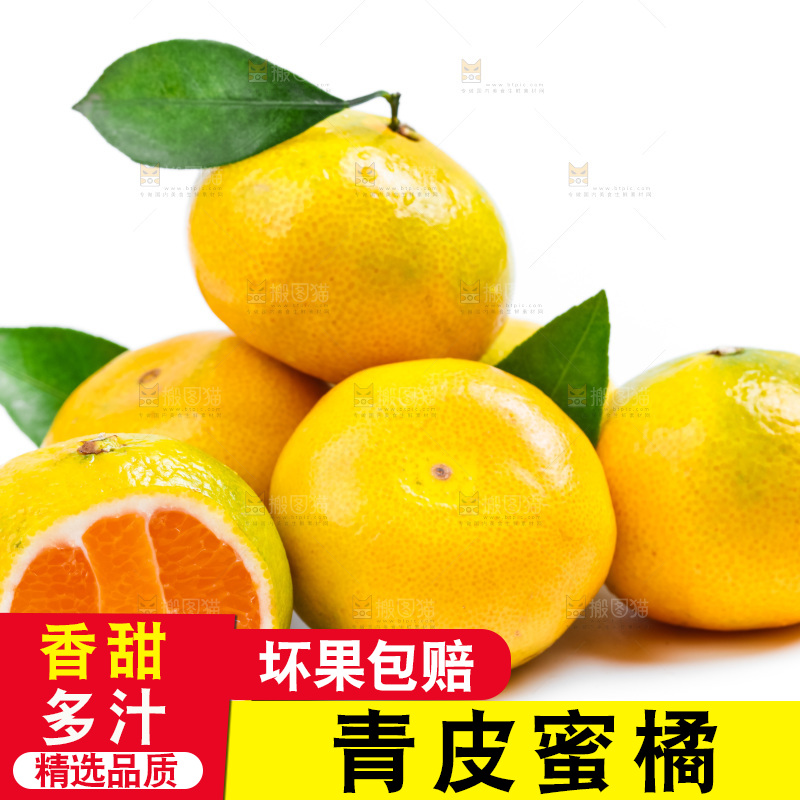 新鲜的青皮蜜橘放在白底上