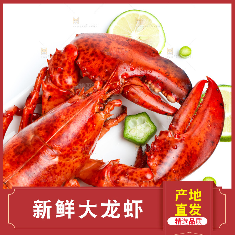 白底上放着一盘大龙虾