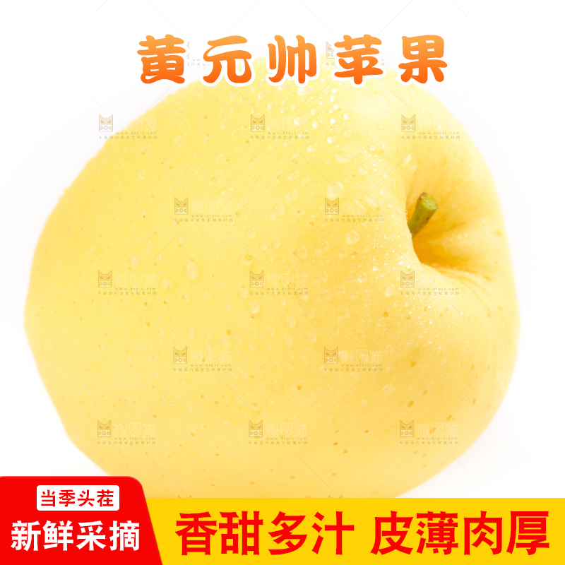 白底上摆放着黄金帅