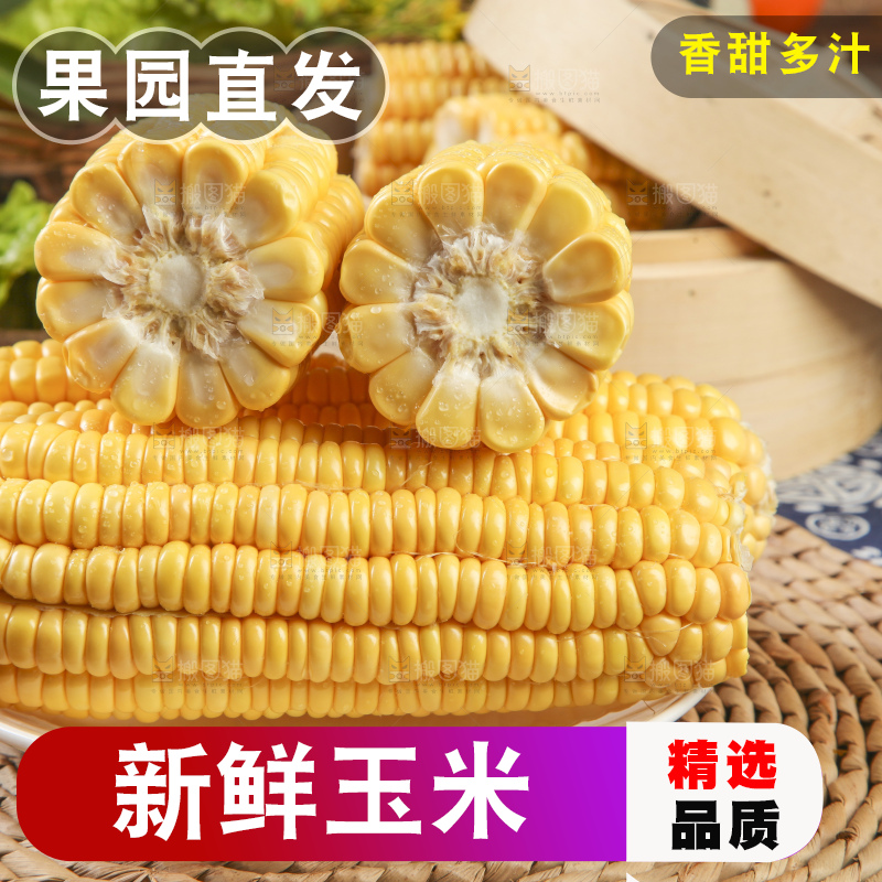 草垫子上放着一盘东北玉米